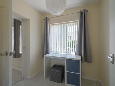 Picture 16